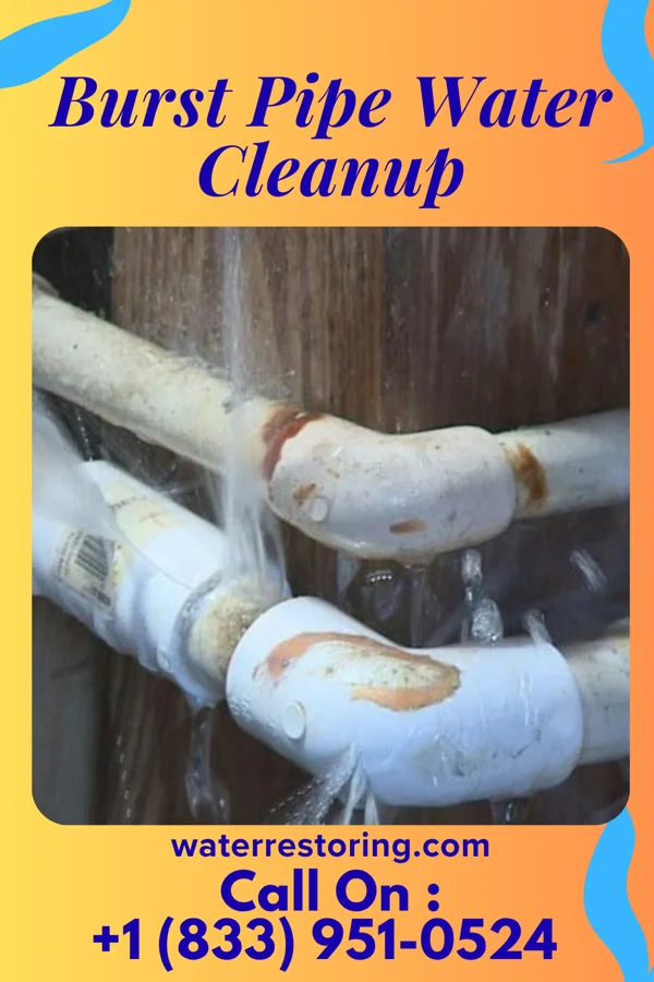 Burst Pipe Water Cleanup in Westmont, IL