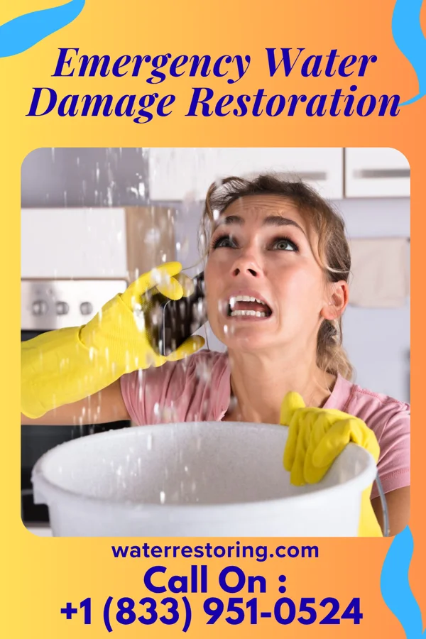 Emergency Water Damage Restoration in Westmont, IL