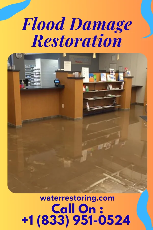 Flood Damage Restoration in Westmont, IL