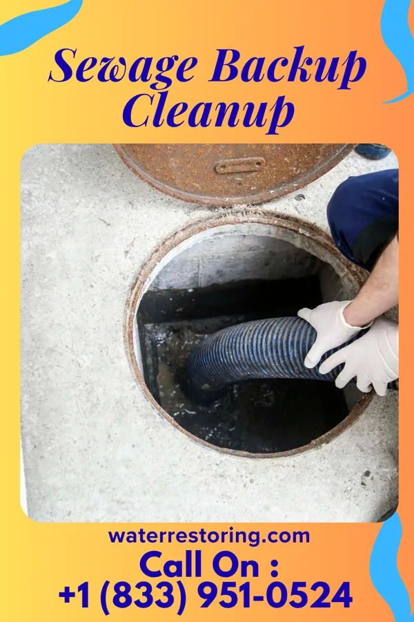 Sewage Backup Cleanup in Westmont, IL