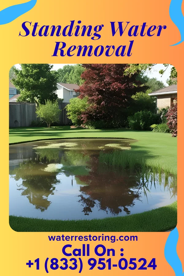Standing Water Removal in Westmont, IL